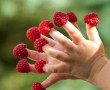 MENU enfant